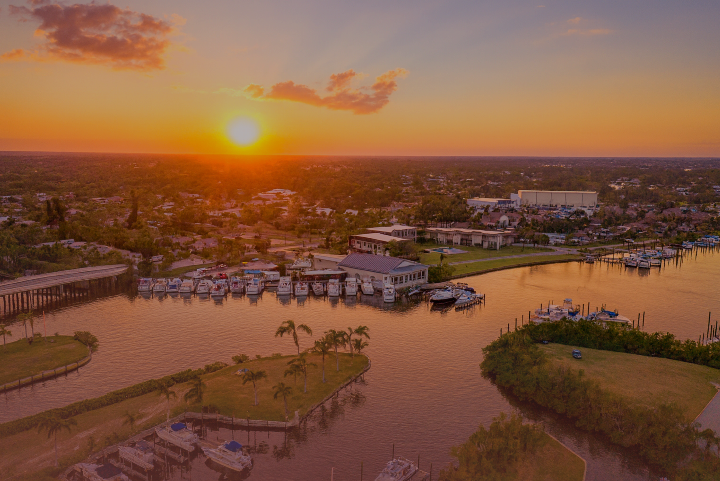 LP Graphic Stuff (7).png