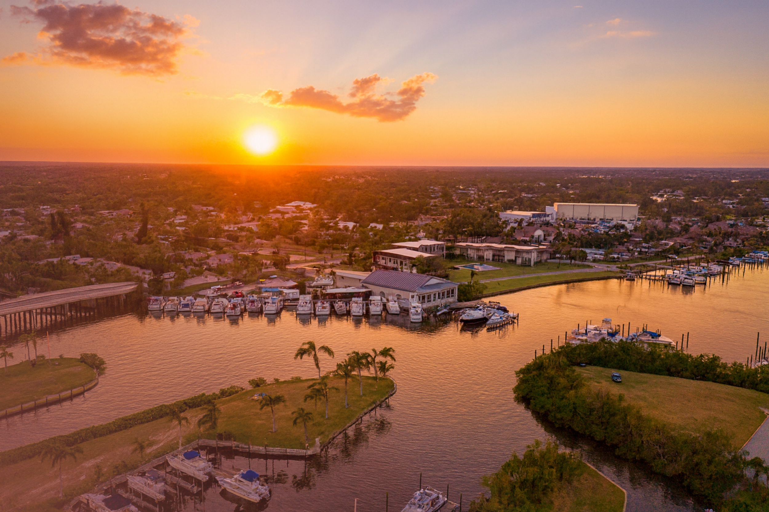 LP Graphic Stuff (5).png