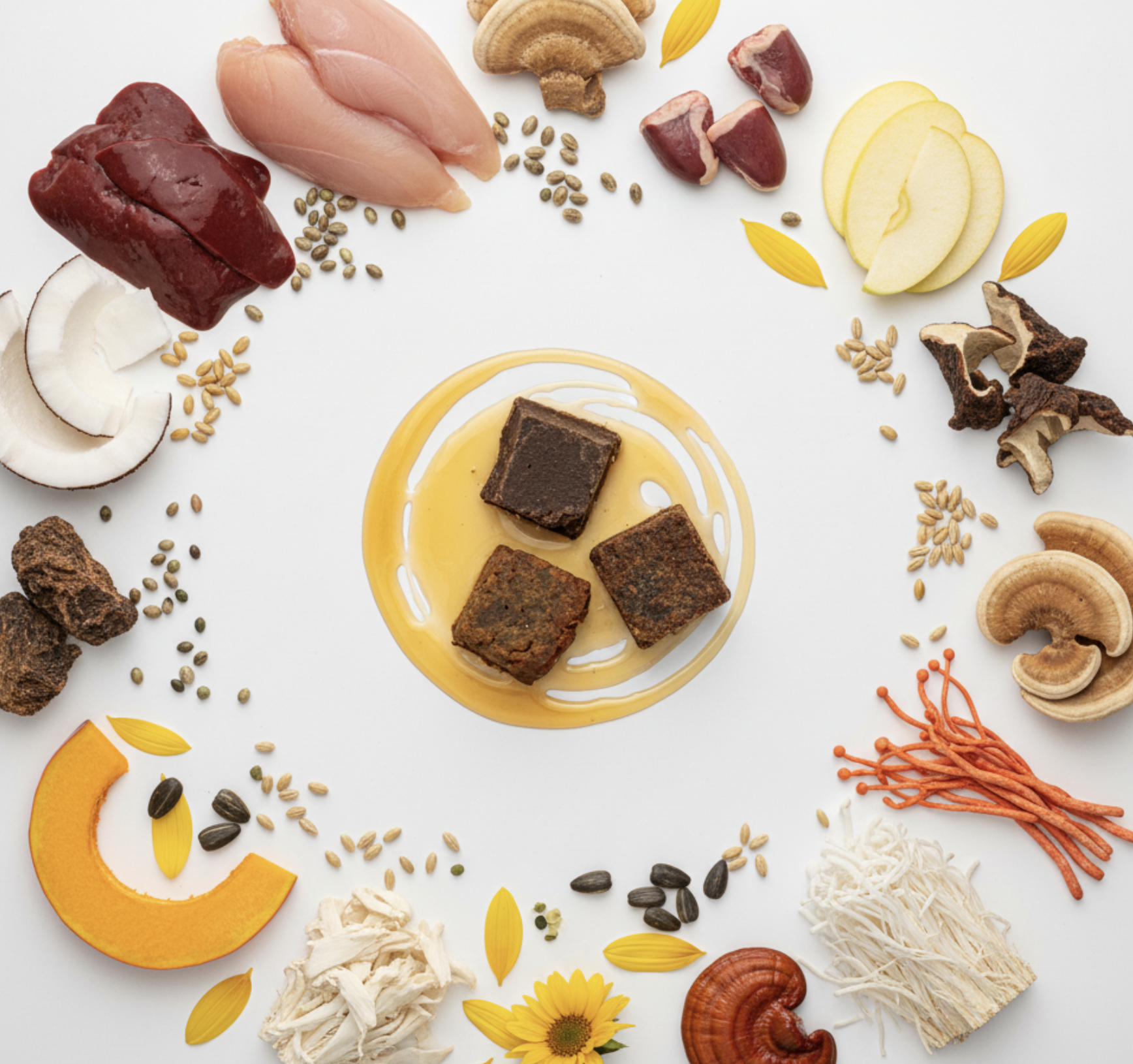 Various ingredients including chicken, beef, mushroom, squash, pumpkin seeds, coconut, and spices arranged on a white background, likely for cooking or dietary purposes.