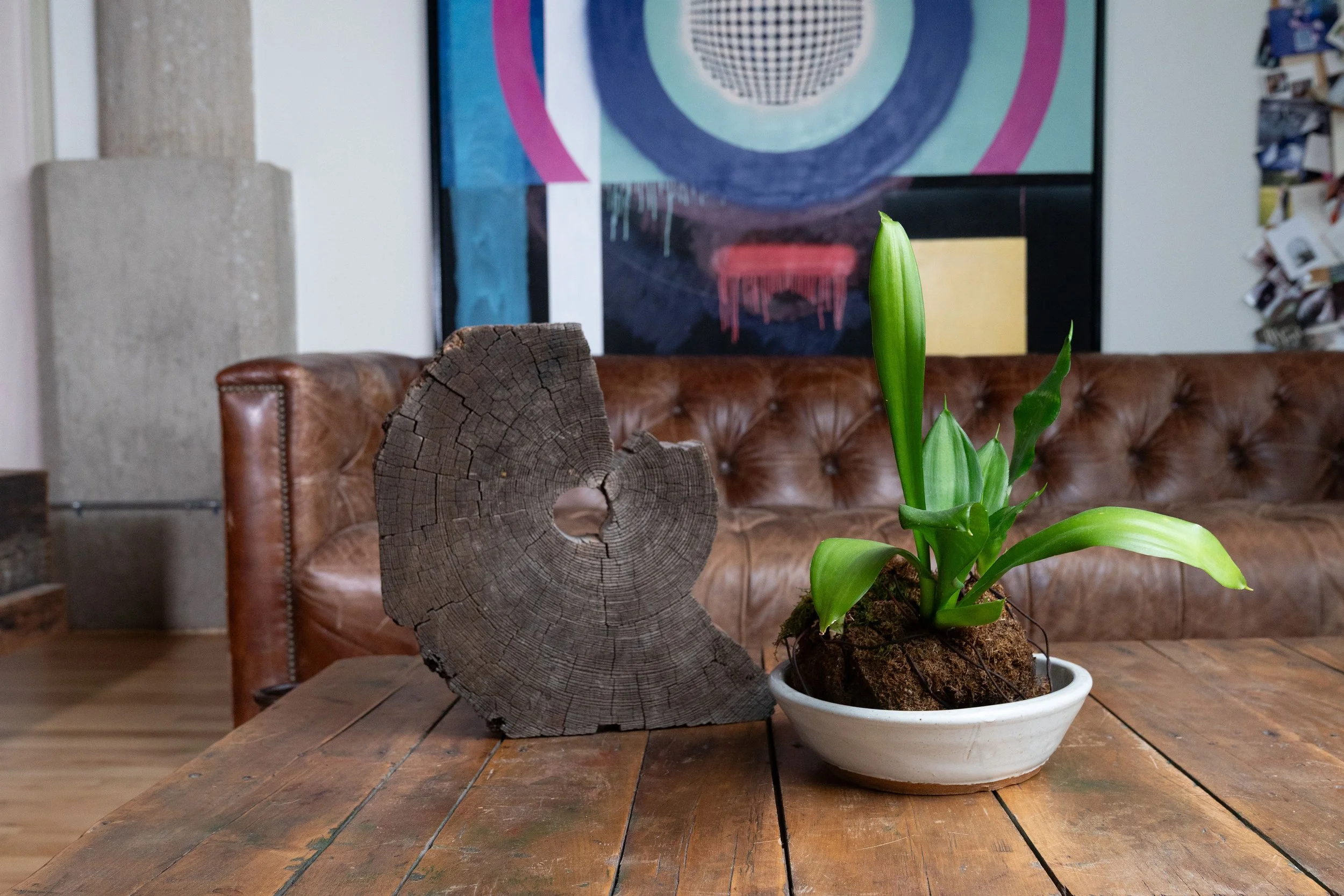 A wooden table with a potted green plant and a piece of wood on it, in a room with a couch and colorful wall art in the background.