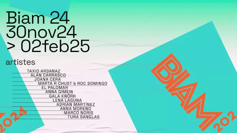 Biennal d’Art Ciutat d’Amposta (BIAM) 2024