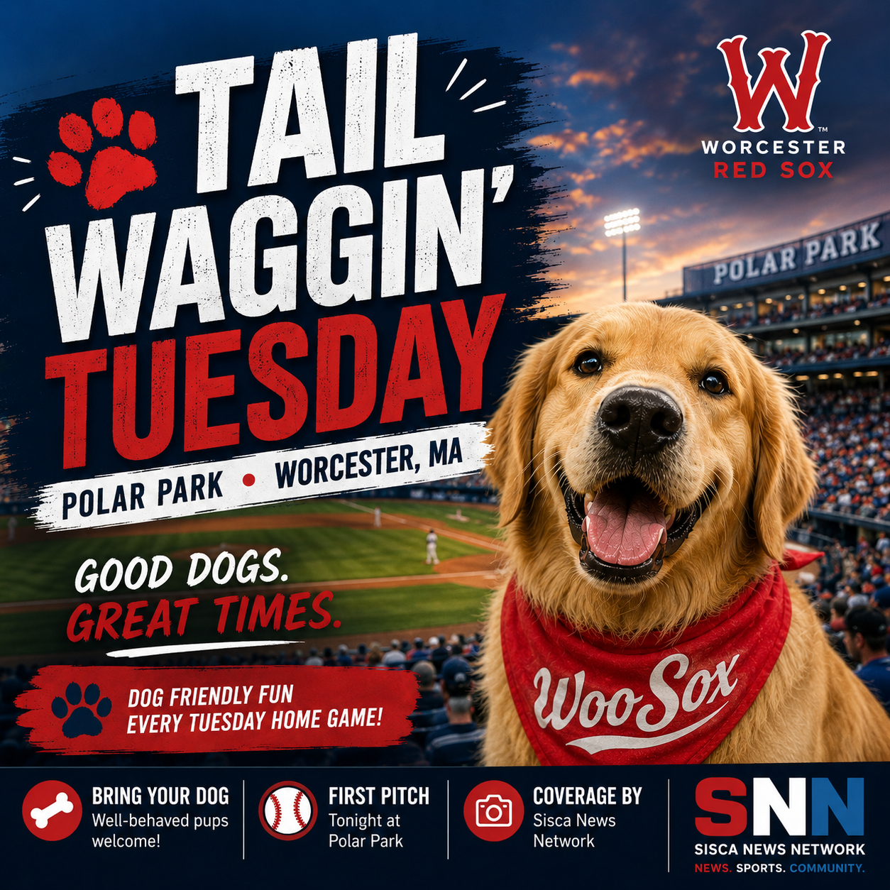 Promotional poster for Worcester Red Sox baseball game featuring a happy golden retriever wearing a red bandana with 'WooSox' written on it, at Polar Park stadium in Worcester, MA, during sunset. The poster advertises 'Tail Waggin' Tuesday' with dog-friendly activities, including well-behaved pups attending every Tuesday home game, with details about bringing dogs, the first pitch, and media coverage by Sicca News Network.