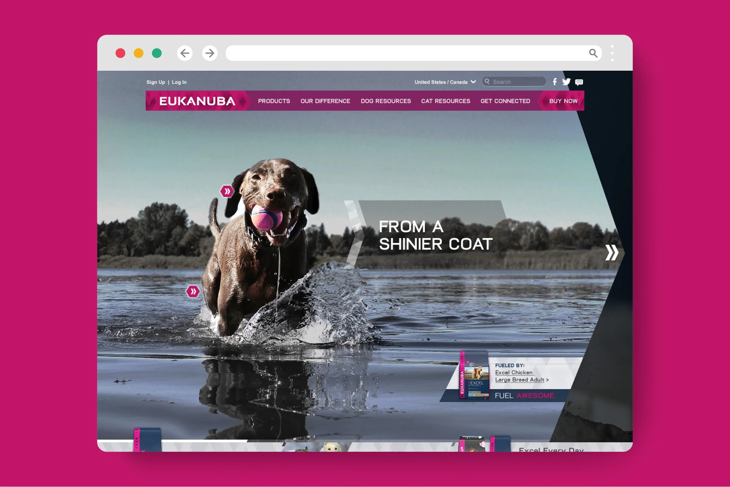 web__0005_eukanuba.jpg