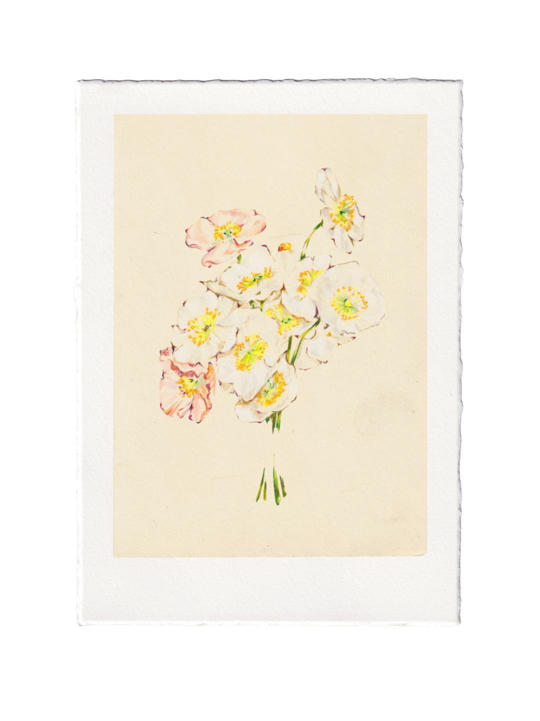 A5 Limited Edition Print (10) | The Internet's Royal Wedding