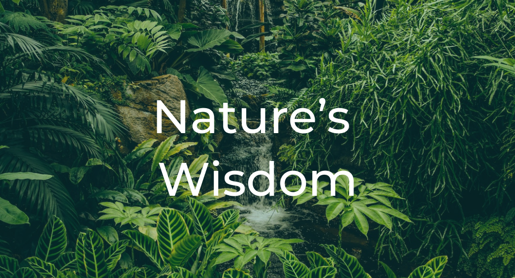 Desktop - 15 (1).png