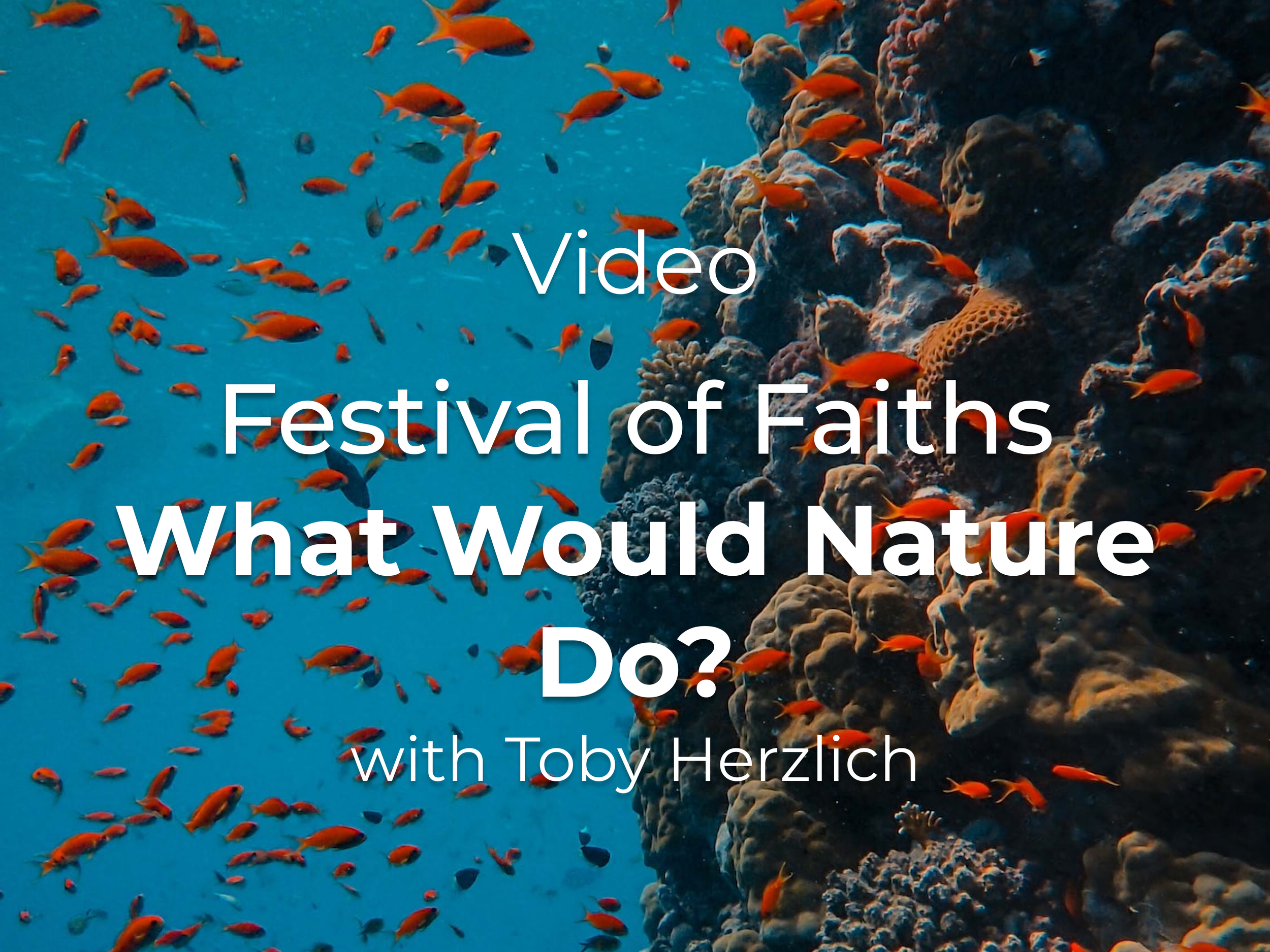 Festival of Faiths- What Would Nature Do?