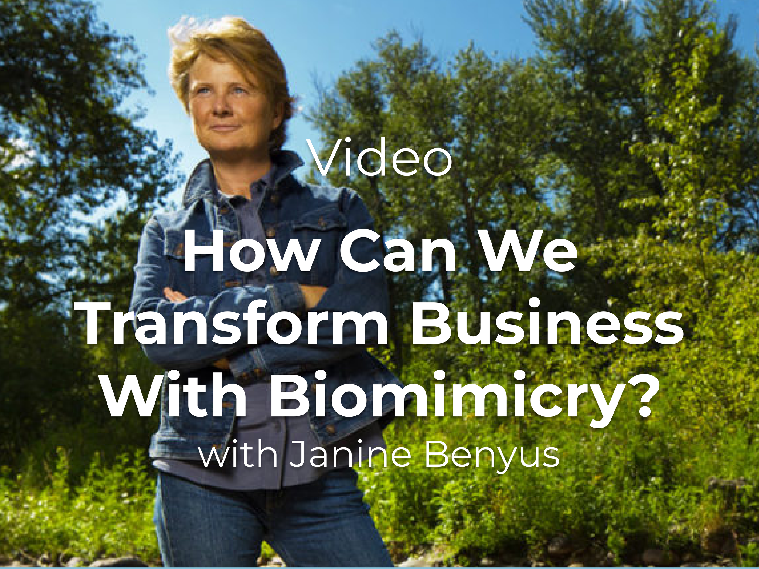 How can we transform business with biomimicry?
