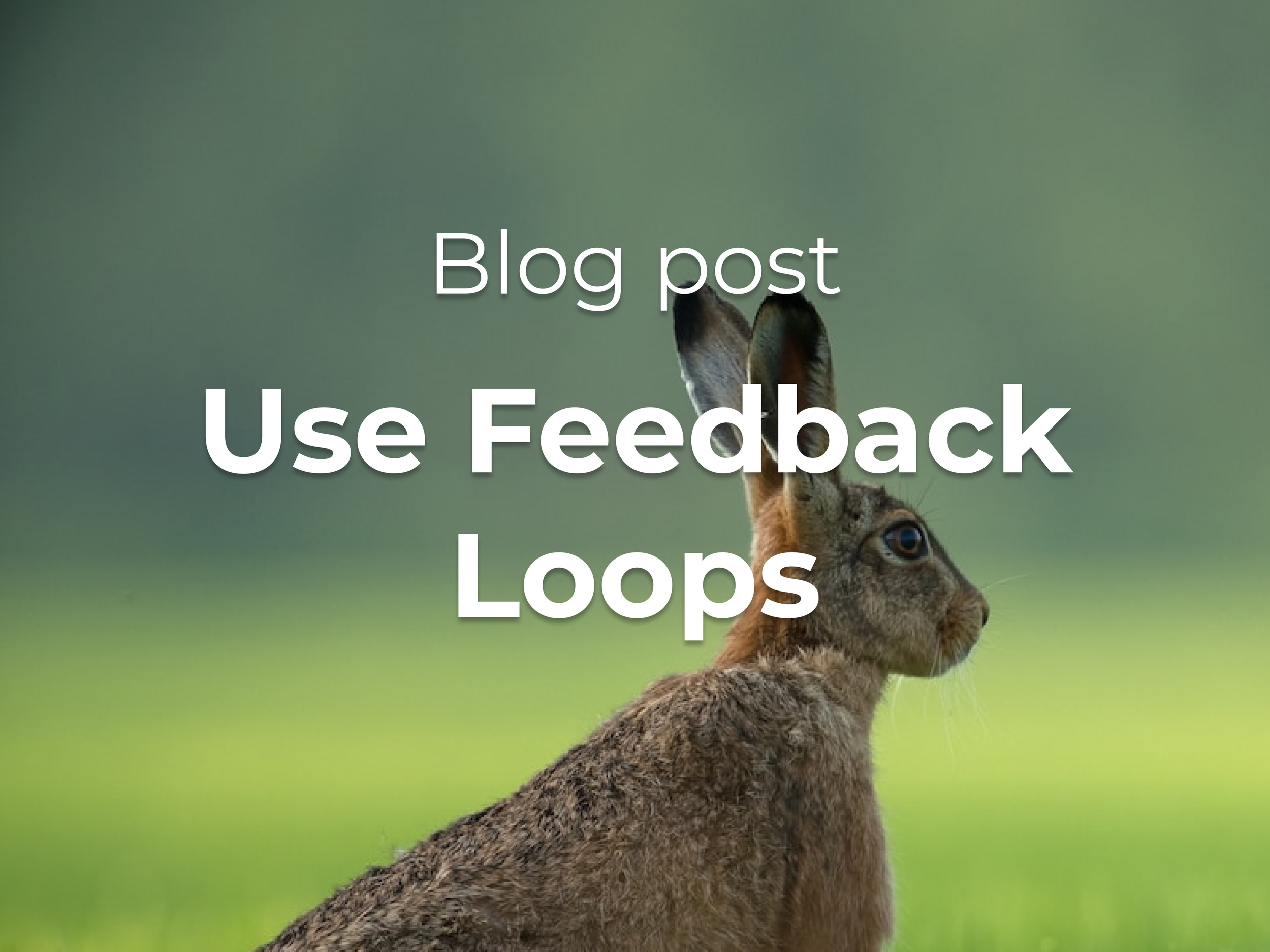 Use Feedback Loops