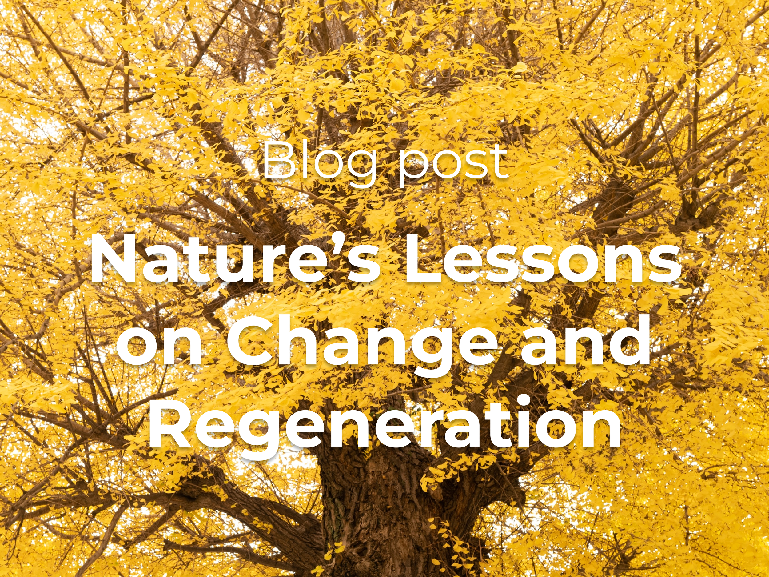 Nature's Lessons on Change and Regeneration