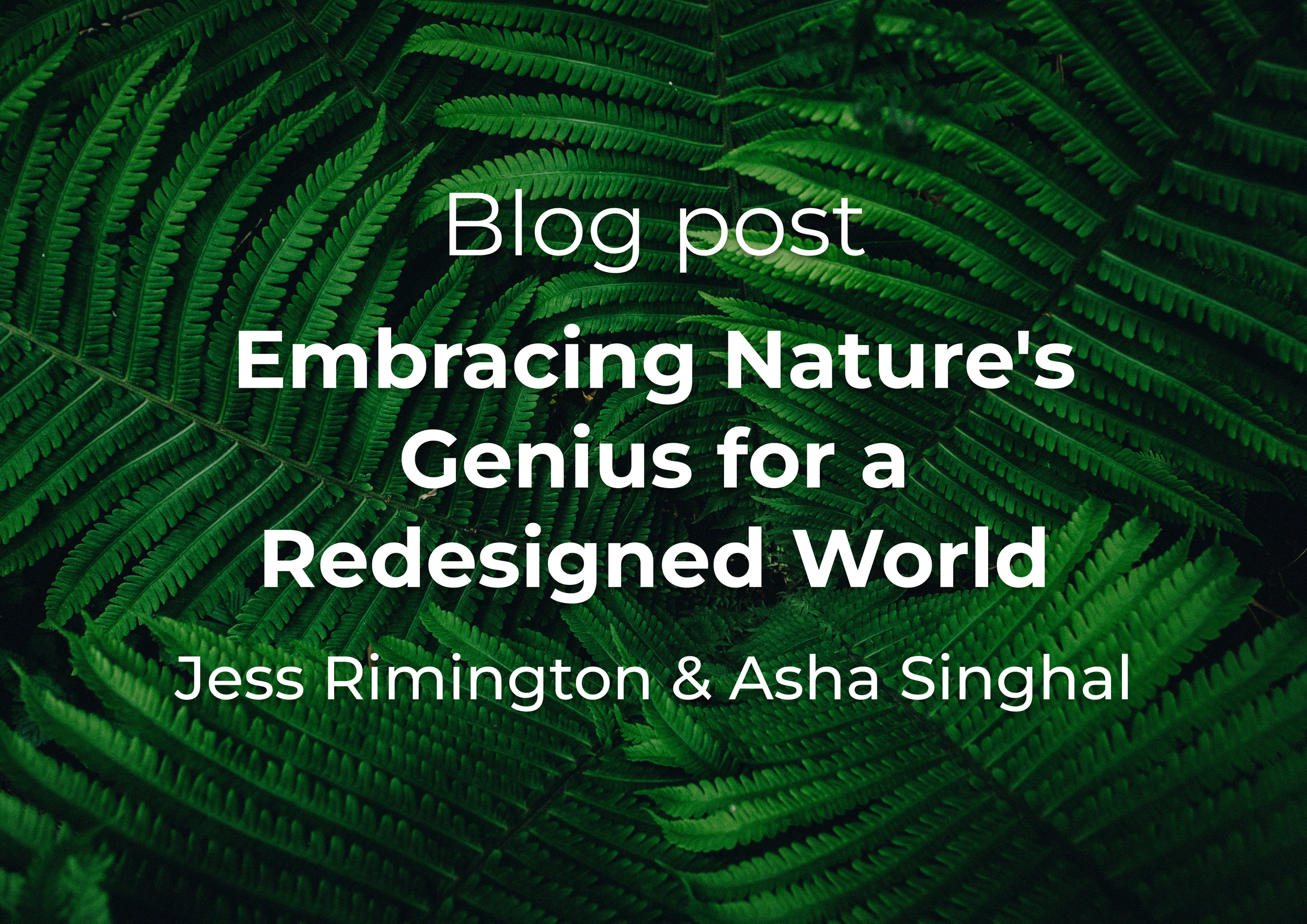 Slide 4_3 - 35 (1).png