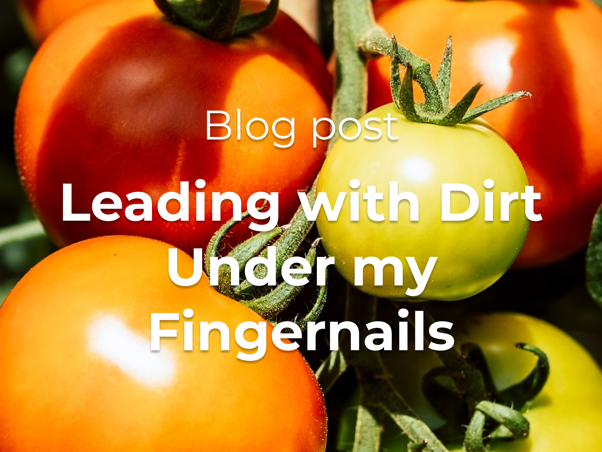 Leading with Dirt Under my Fingernails