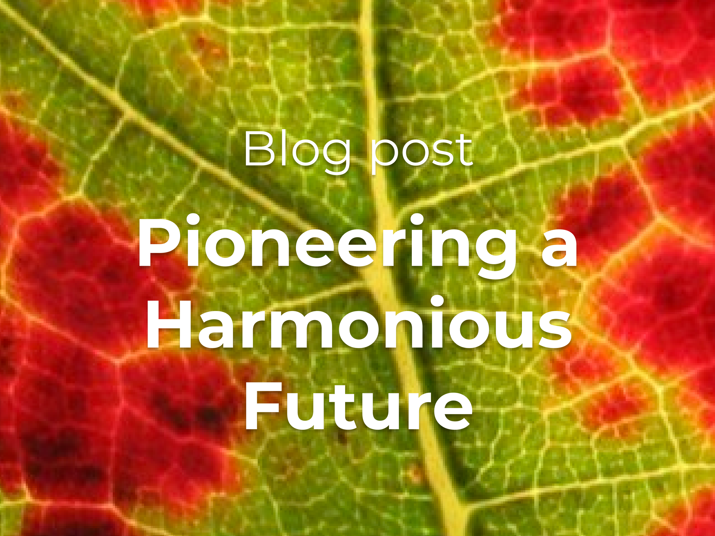 Pioneering a Harmonious Future