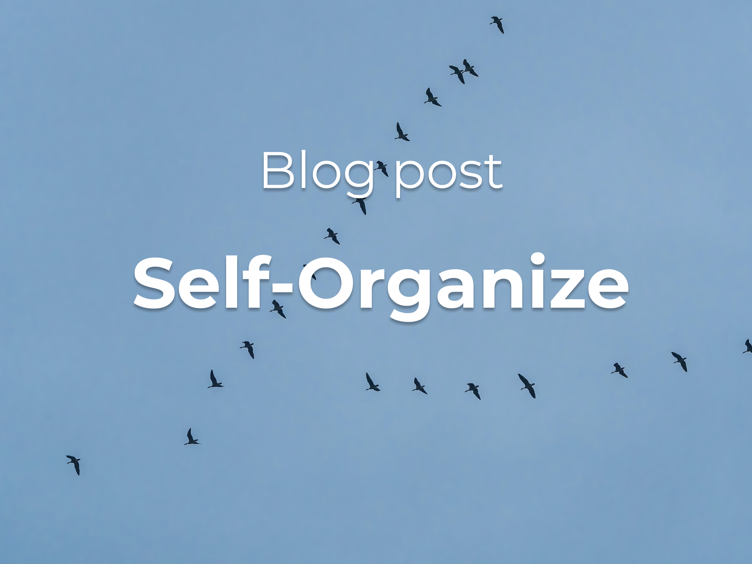 Self-Organize