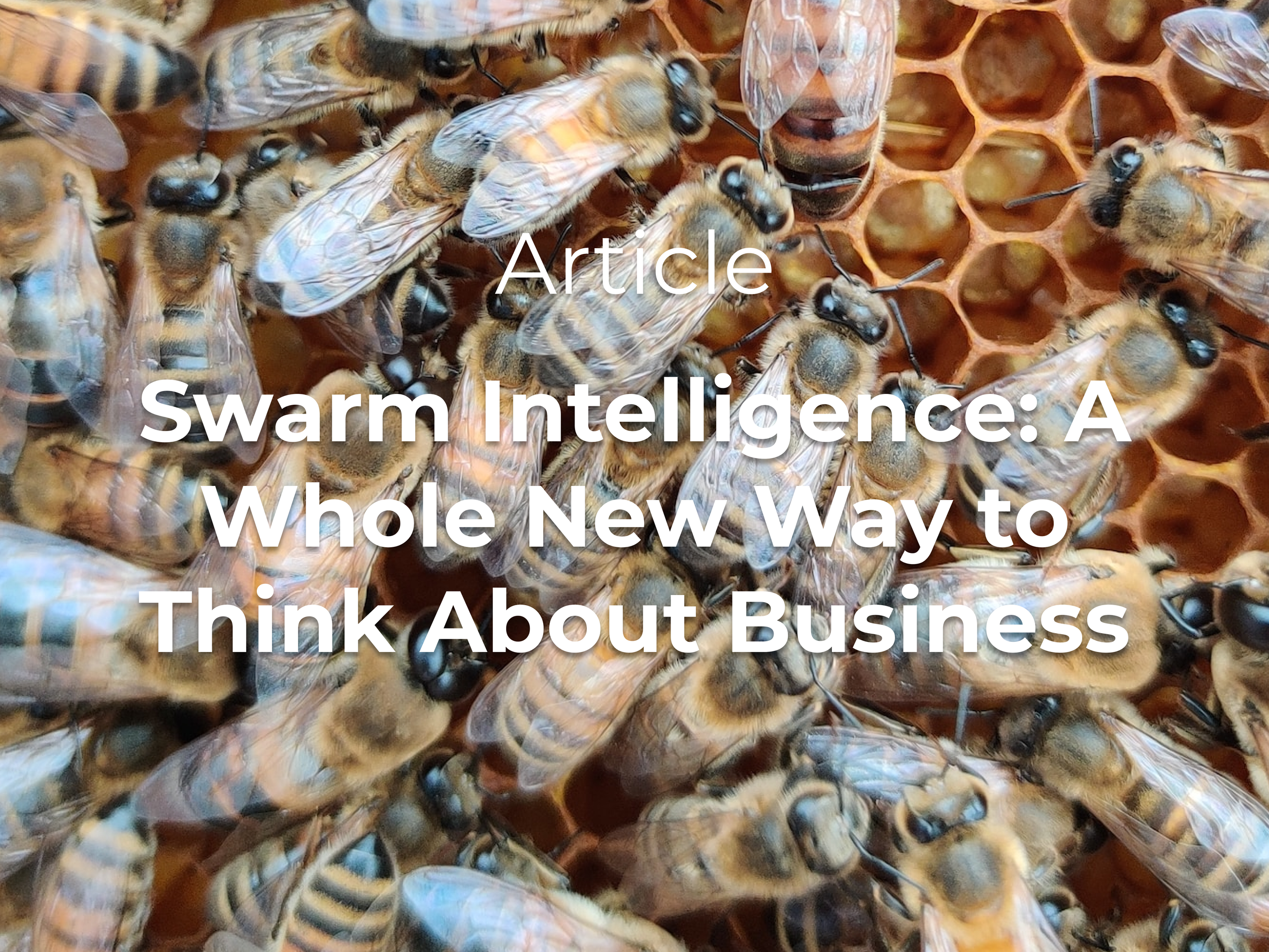 Swarm Intelligence: A Whole New Way to Think About Business