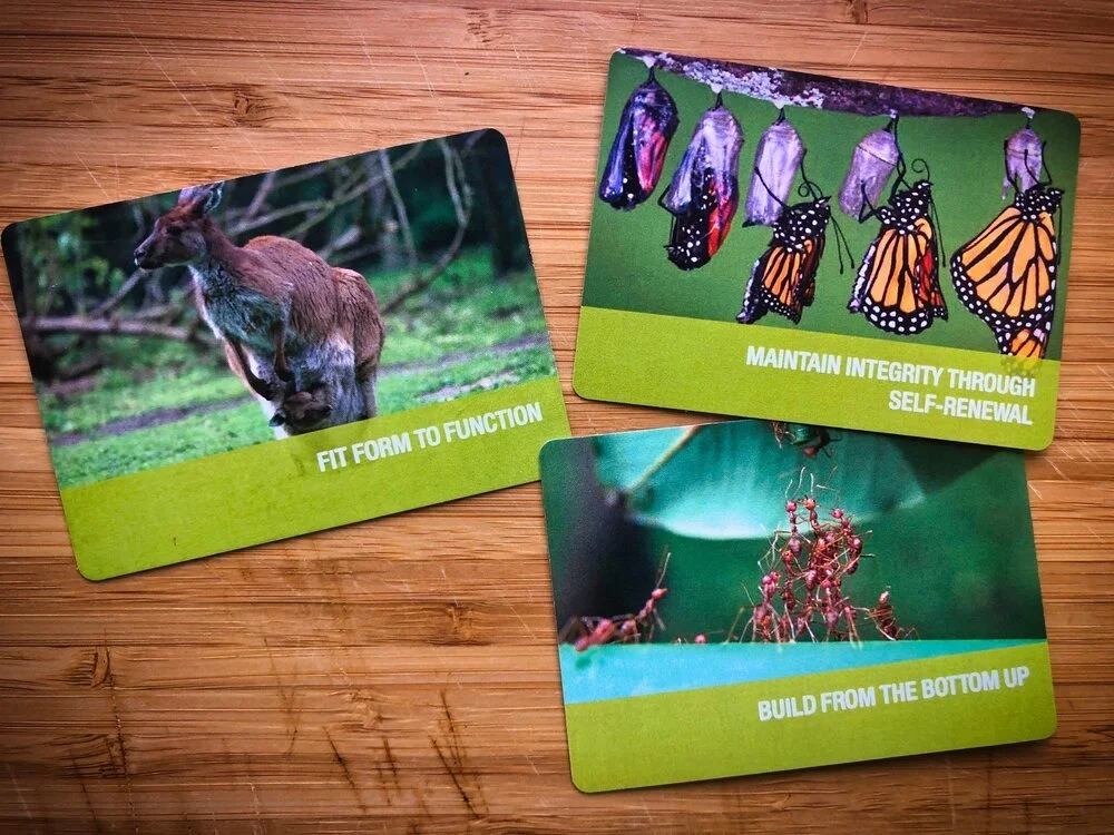 Life's Principles Leadership Cards