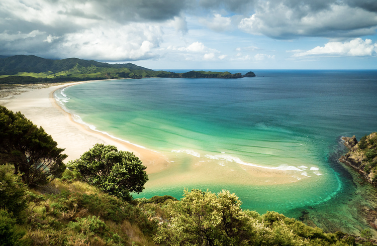 Discover Nature’s Genius for Social Innovation