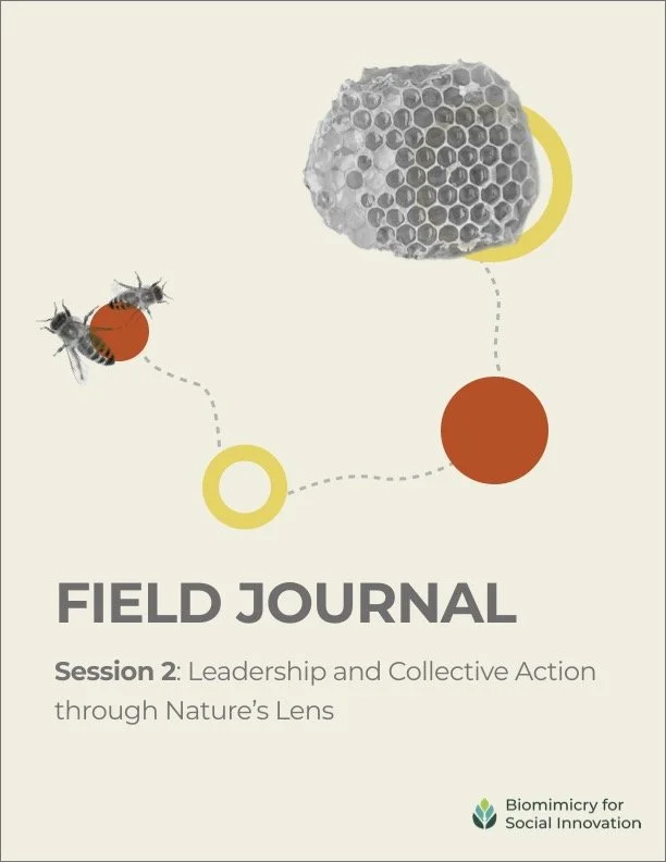 FieldJournal-Session#2 Cover (2).jpg