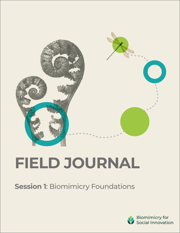 FieldJournal-Session#1 Cover.png