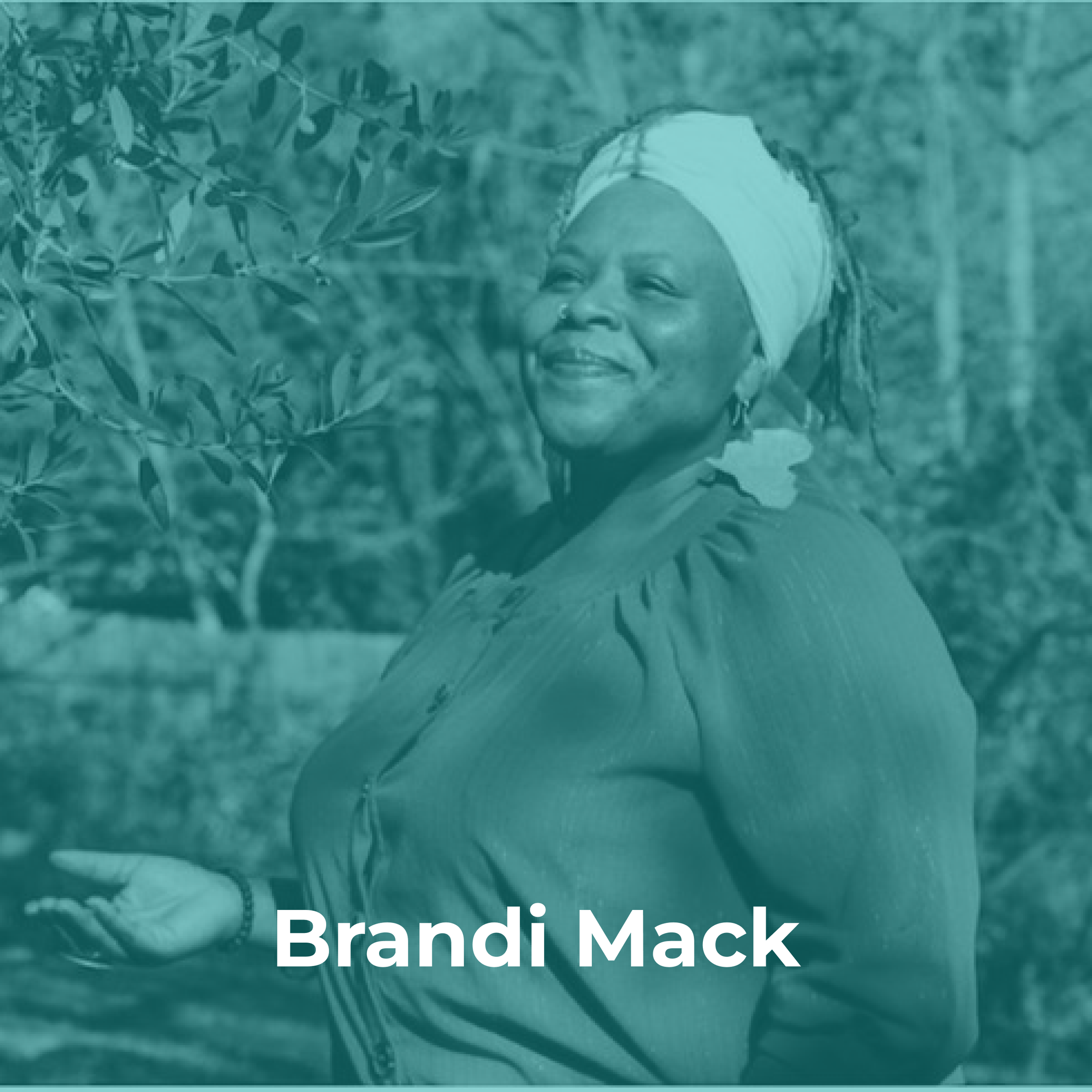 Instagram post - 46.png