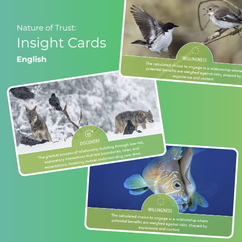 Nature of Trust Insight Cards: English