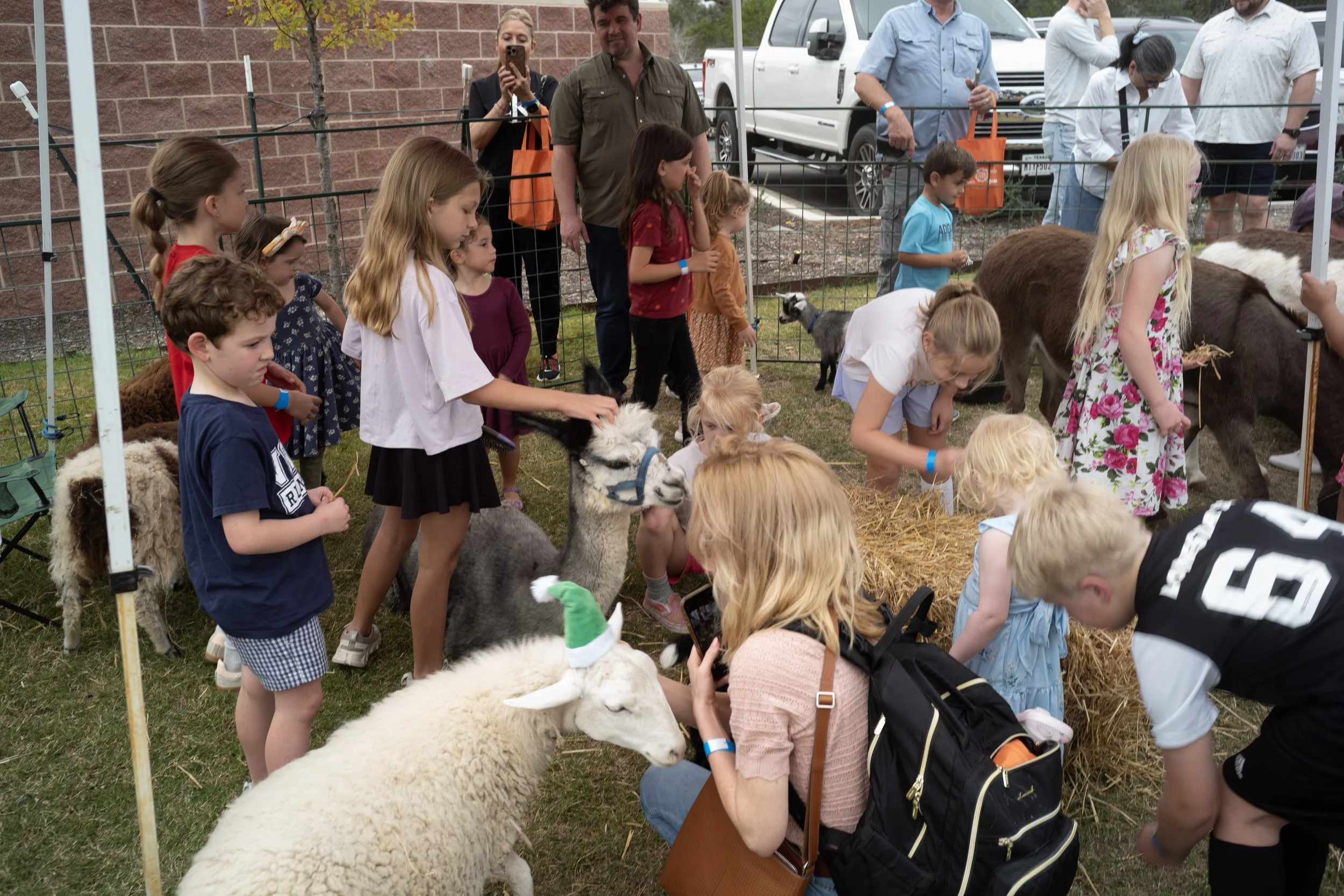 Children and adults gathered around at a petting zoo area with sheep, goats, and a llama, some kids petting the animals, a woman taking a photo, and cars parked in the background.