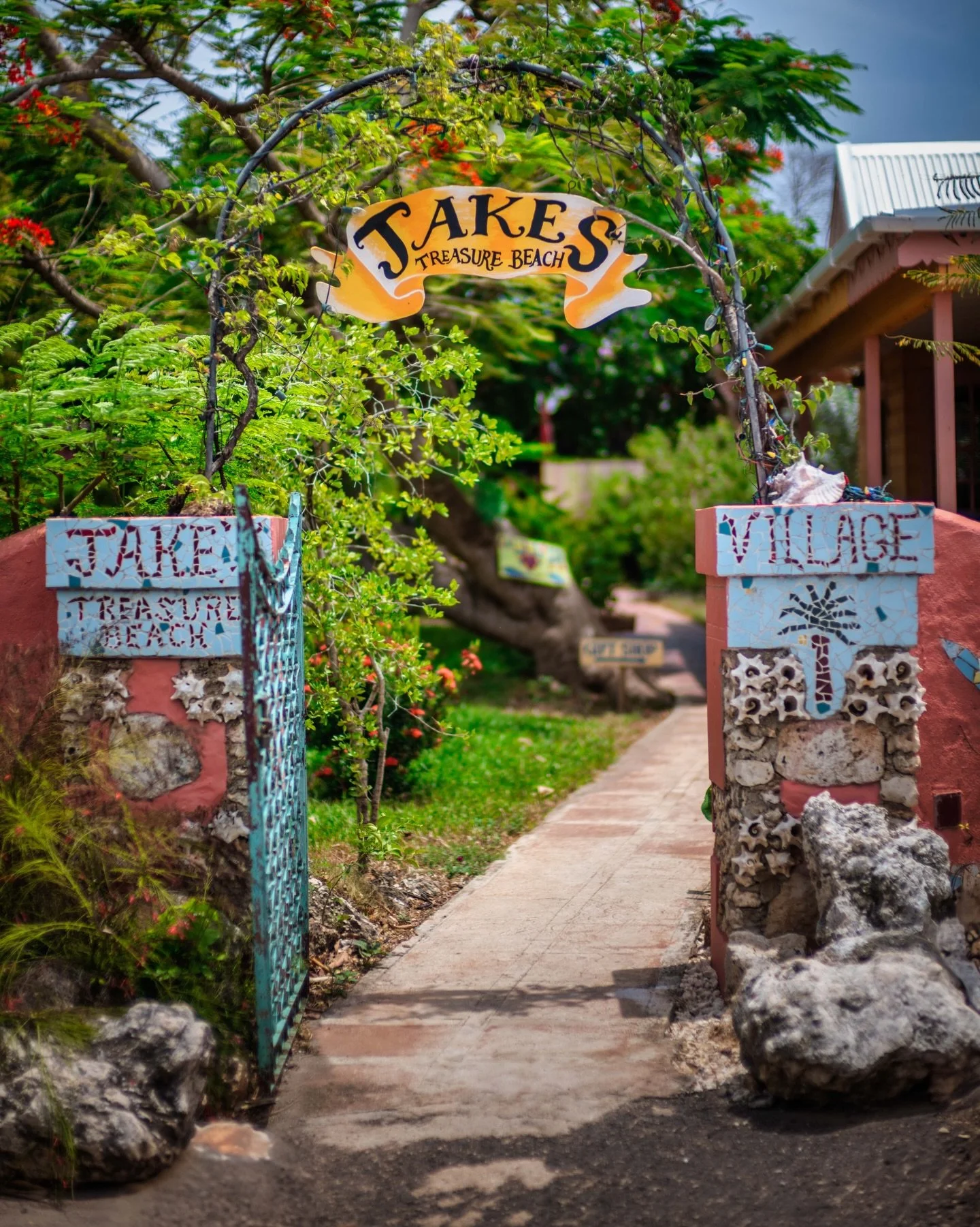 Since Hurricane Melissa, many of you have checked in to find out how my family has been holding up. For that I thank wholeheartedly.  As the island of Jamaica recovers, I wanted to share some images I captured about 4 months prior to the hurricane. T