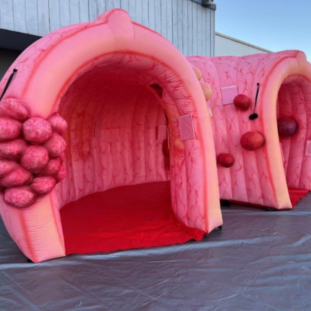 The Colon Cave Display