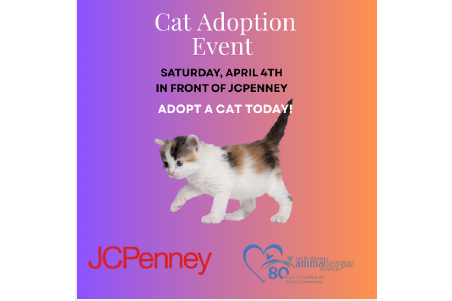 JCPenney Cat Adoption & Mystery Sale