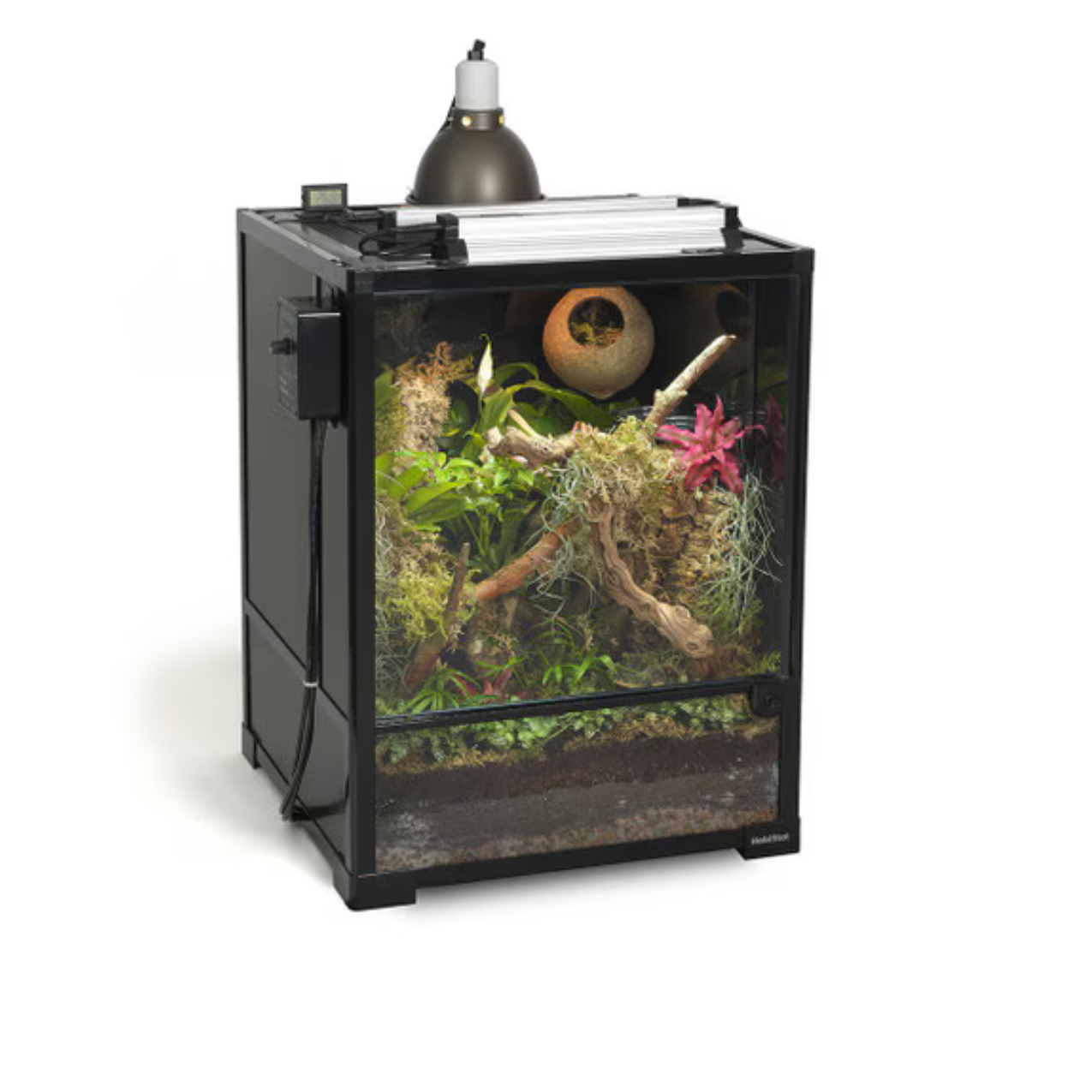 Baby Arboreal Gecko Kit