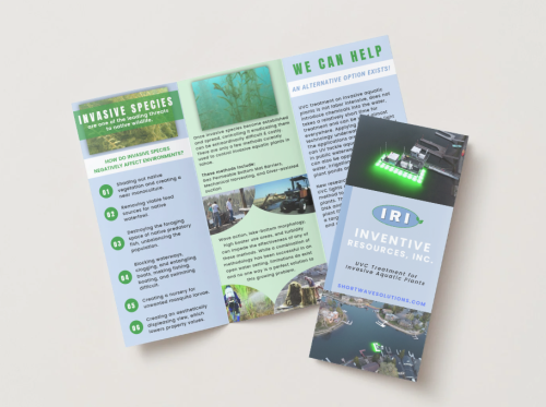 Branding and Identity Support