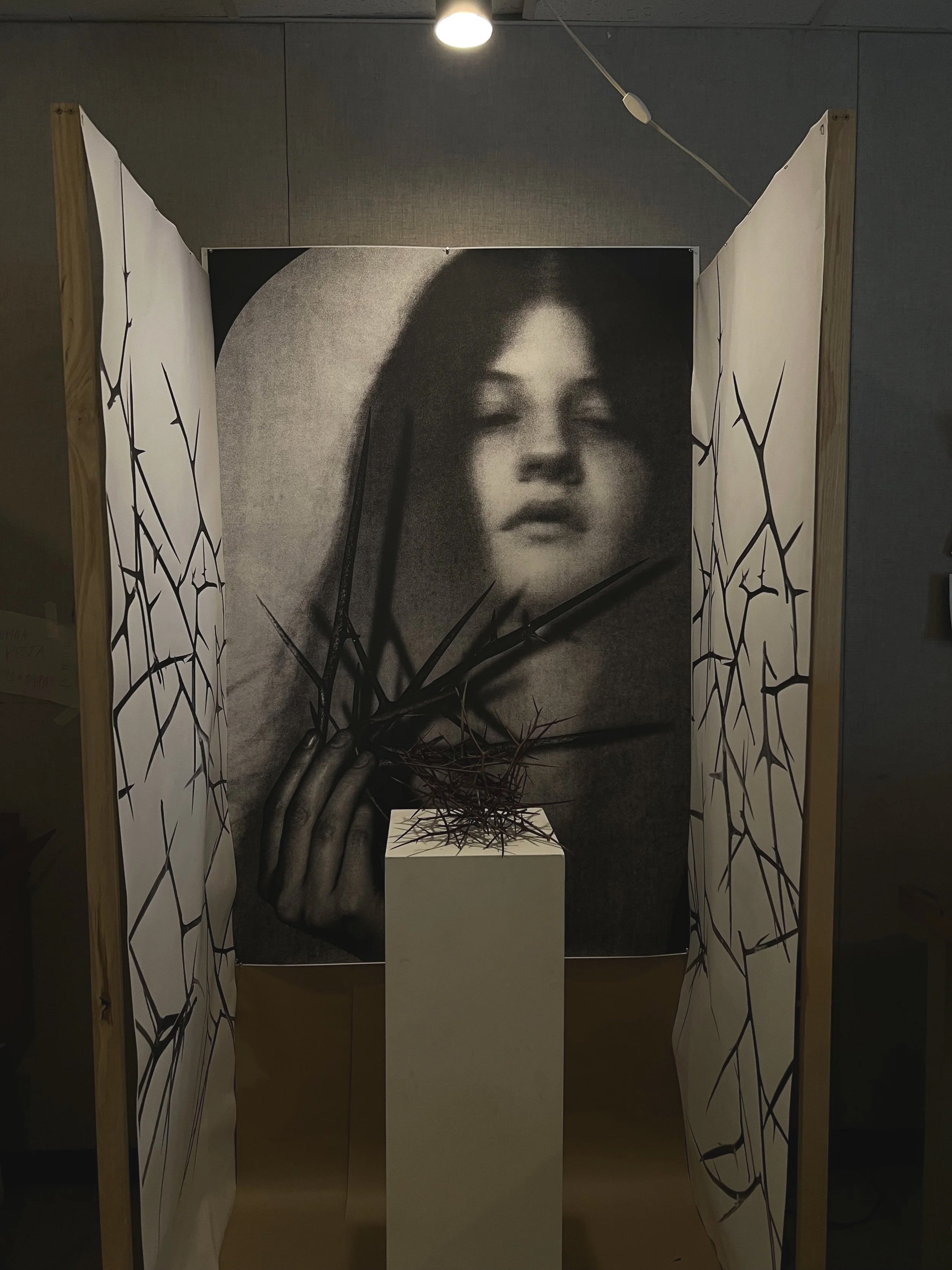 Thorn 01 , Wood and Prints, 2025