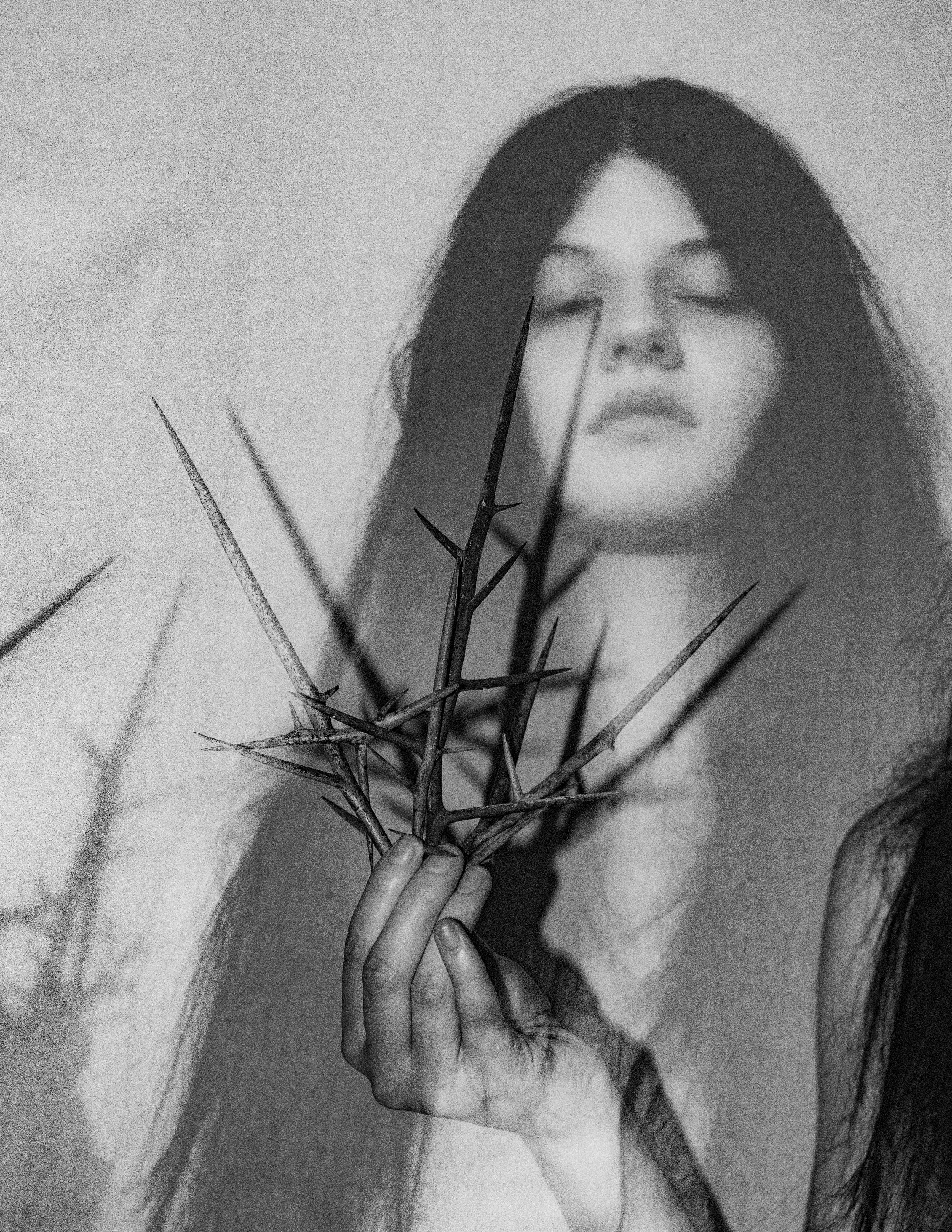 Thorns 02, Photography, 2025