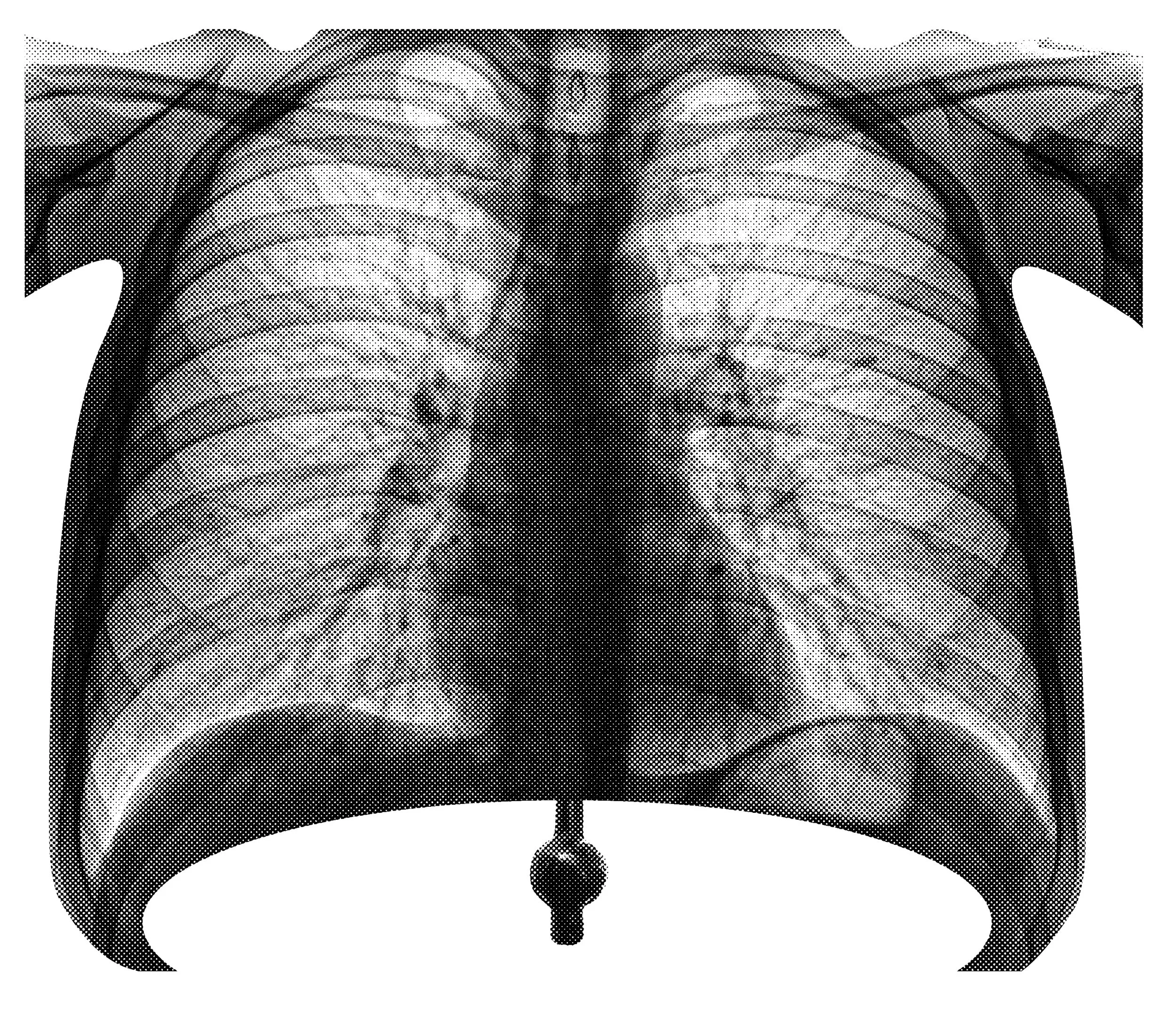 Bells 01, Digital, 2025