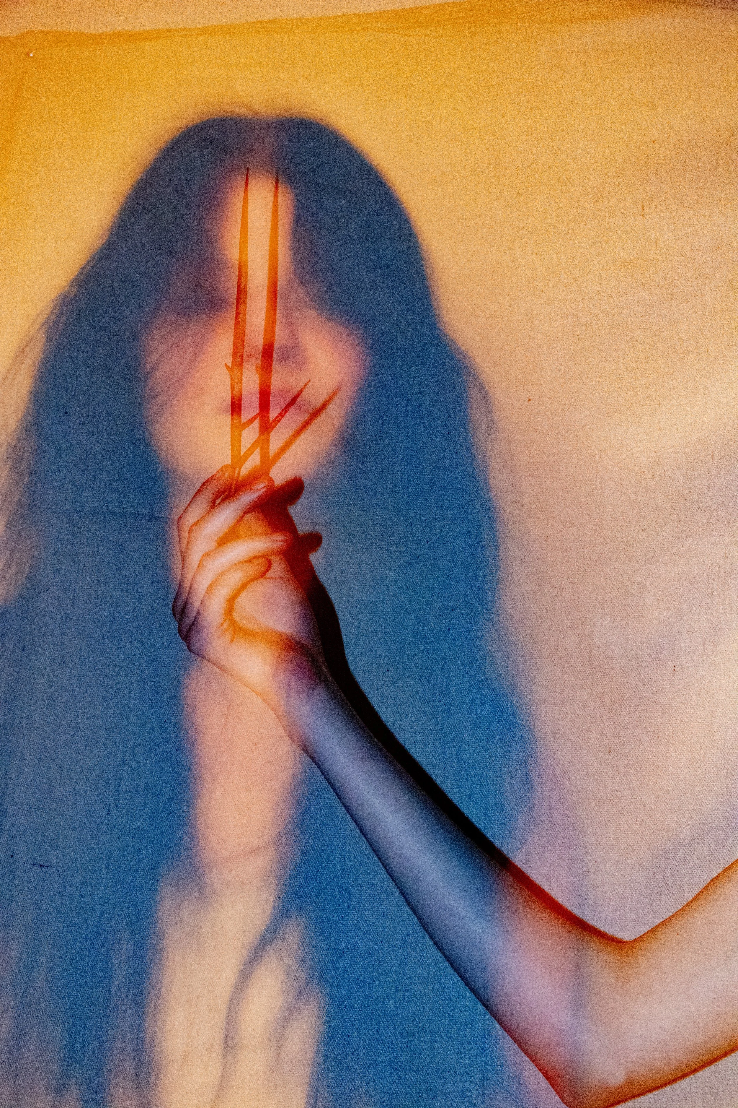 Thorns 03, Photography, 2025