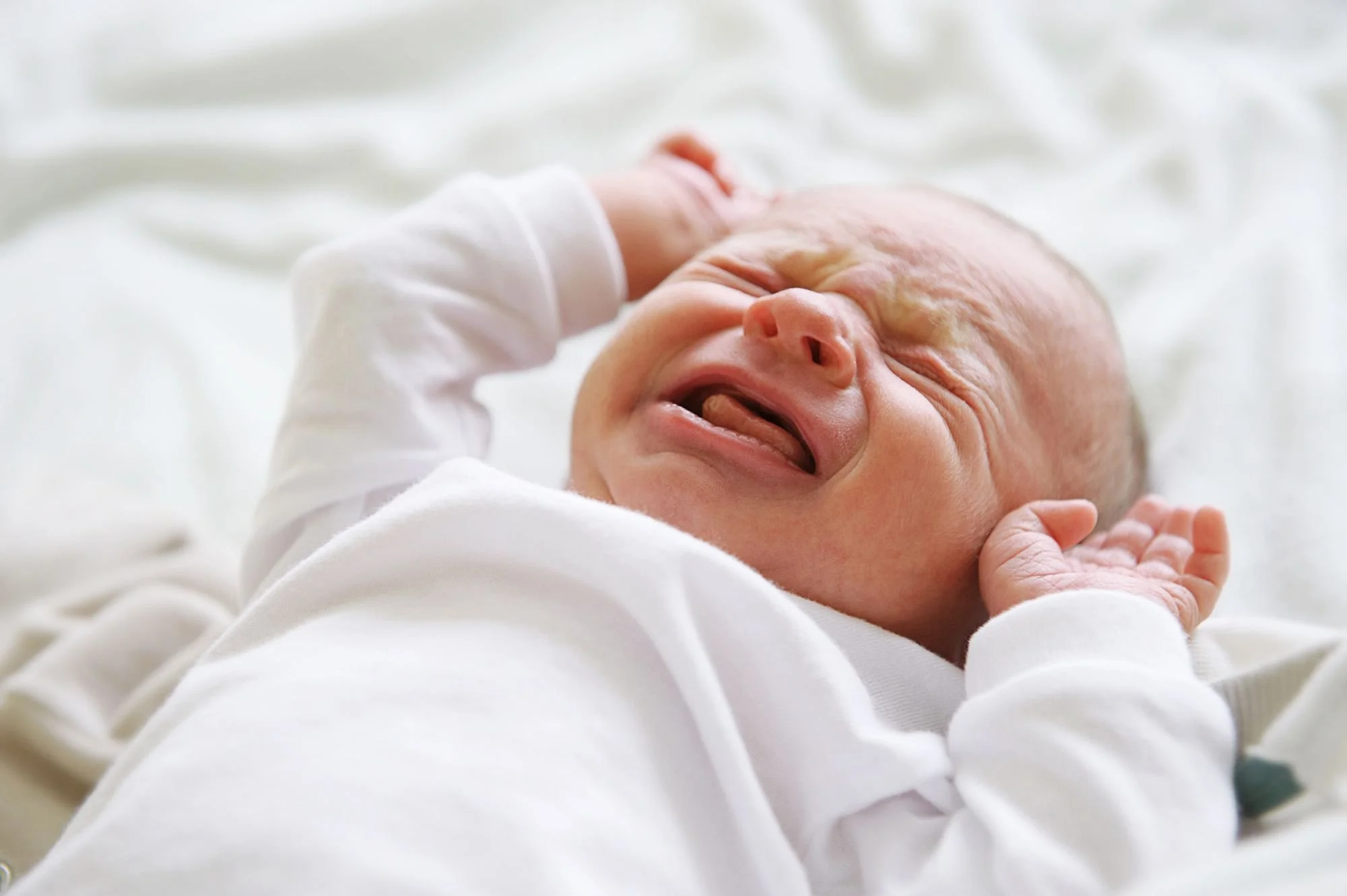 What Is the Startle Reflex and Why Does it Matter?
