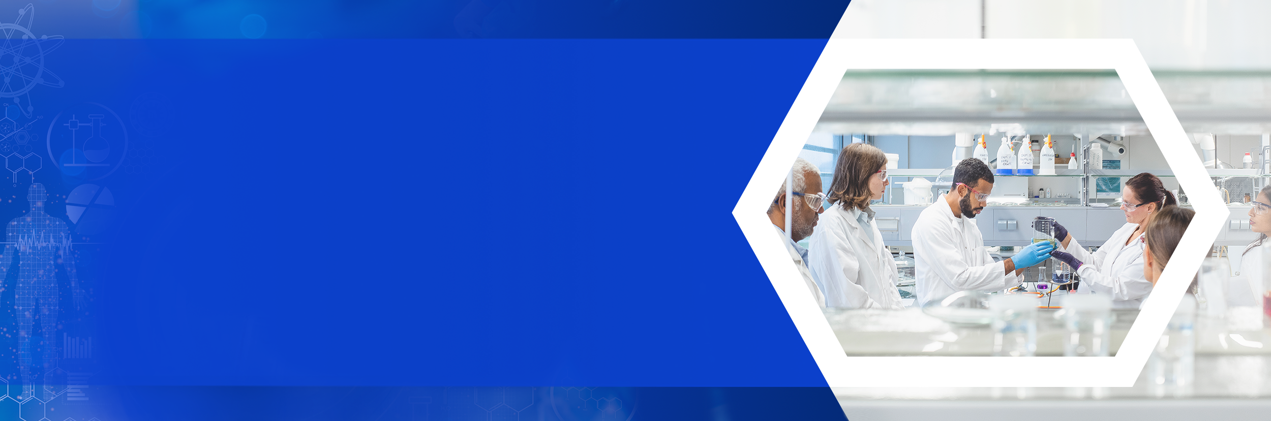 Header graphic - Investment Scope