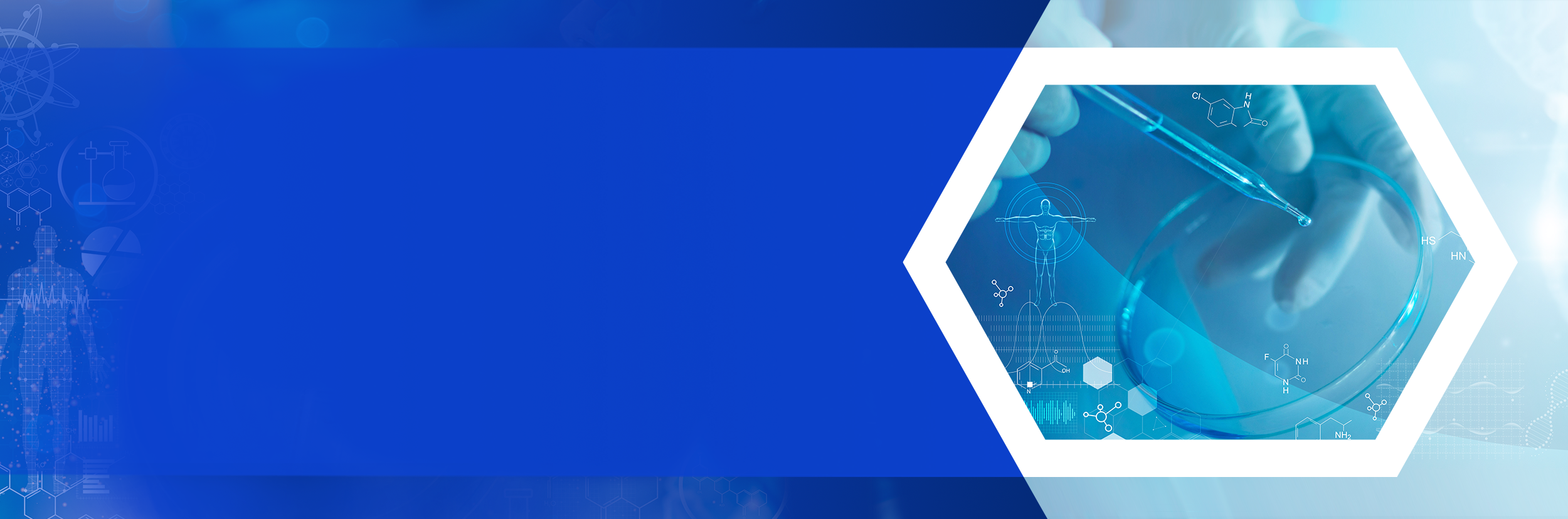 Header art - Portfolio page