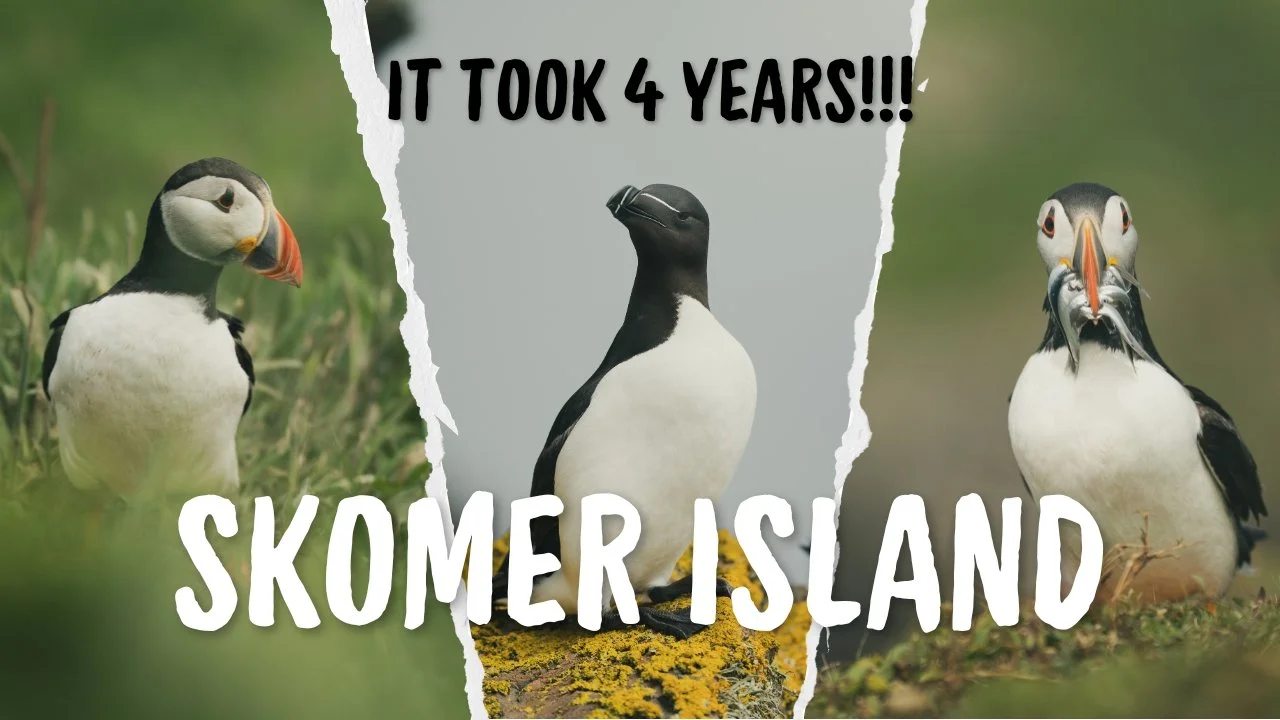 A Journey that took 4 years in the making, I finally go to Skomer Island!