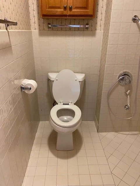 Toilet Before with Walk in Shower