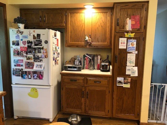 Fridge View Before