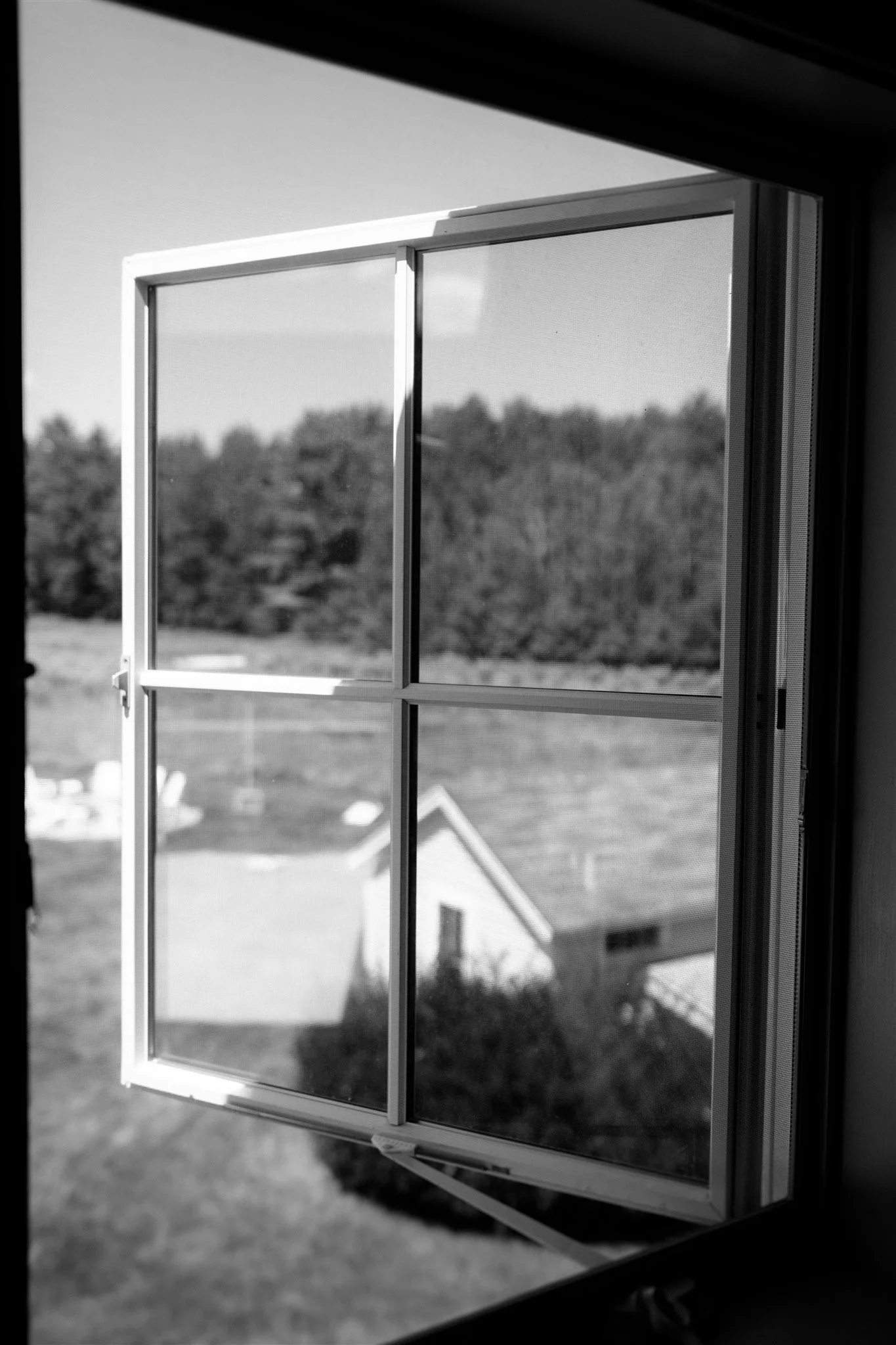 Open window looking out onto a backyard with trees and a small shed.