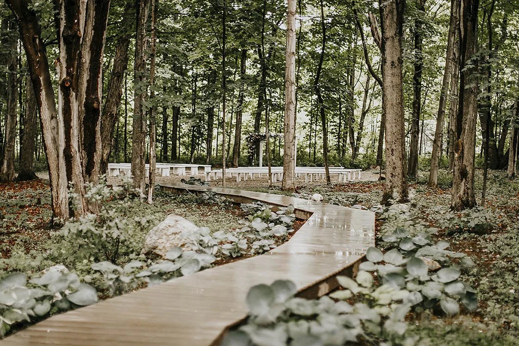 A winding wooden pathway through a forest with tall trees and lush green foliage, surrounded by leafy plants and rocks.