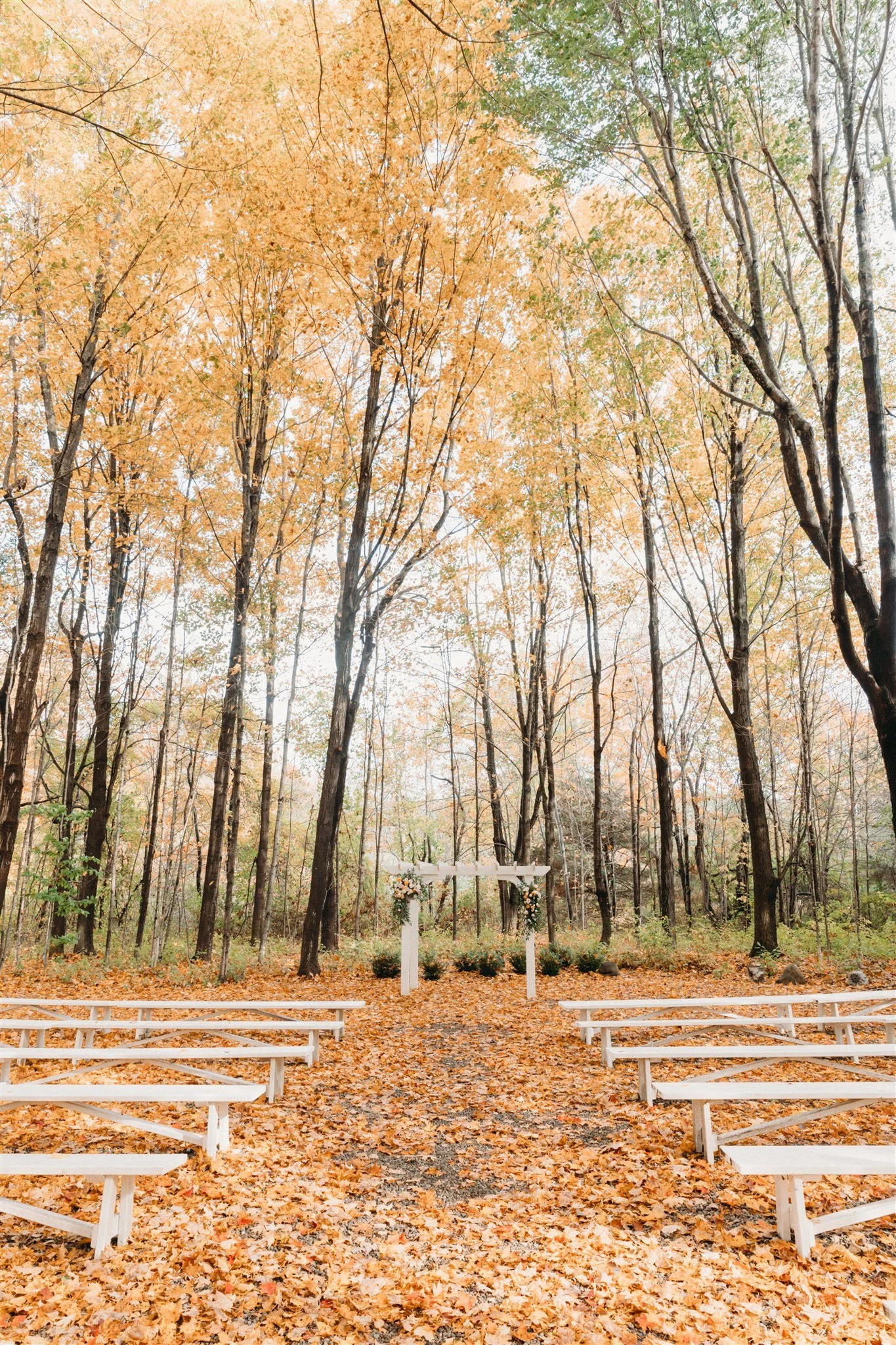 An outdoor wedding setup in a forest during autumn, with fallen leaves covering the ground, white benches arranged on either side of a dirt path, and a white wooden arch decorated with flowers at the end of the path.
