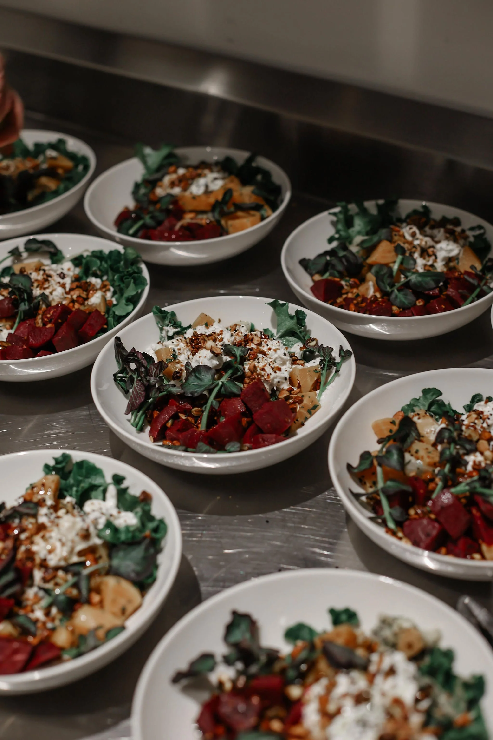 Multiple white bowls filled with salads containing leafy greens, beets, shredded cheese, nuts, and other vegetables on a metal surface.