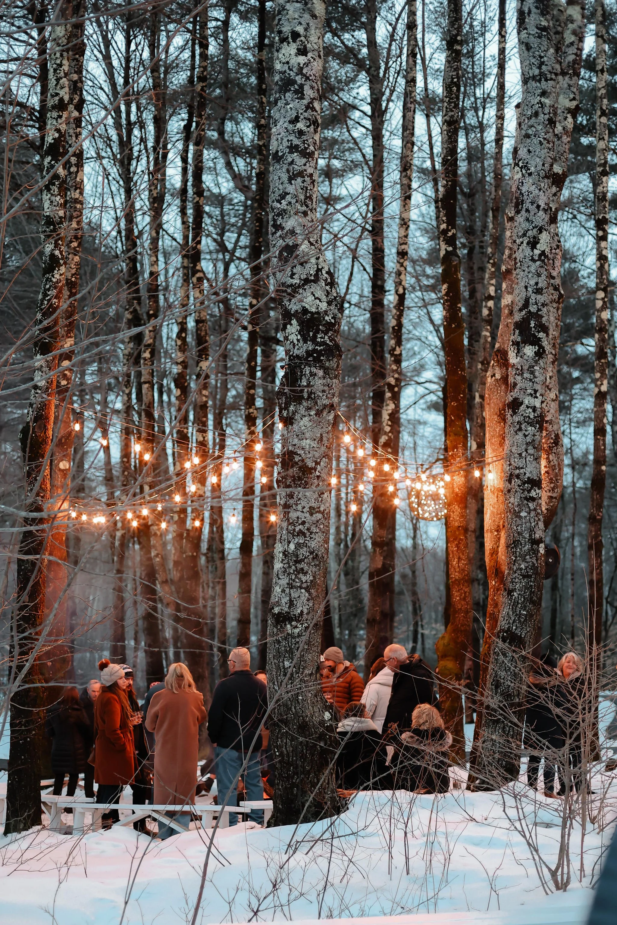 People gathering in a snowy forest with string lights hanging between trees during dusk or evening.