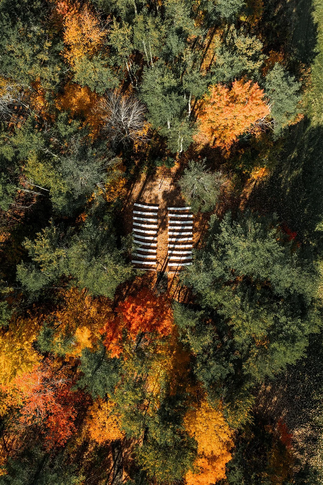An aerial view of a forest with trees showcasing fall colors, and a pathway with multiple white benches.