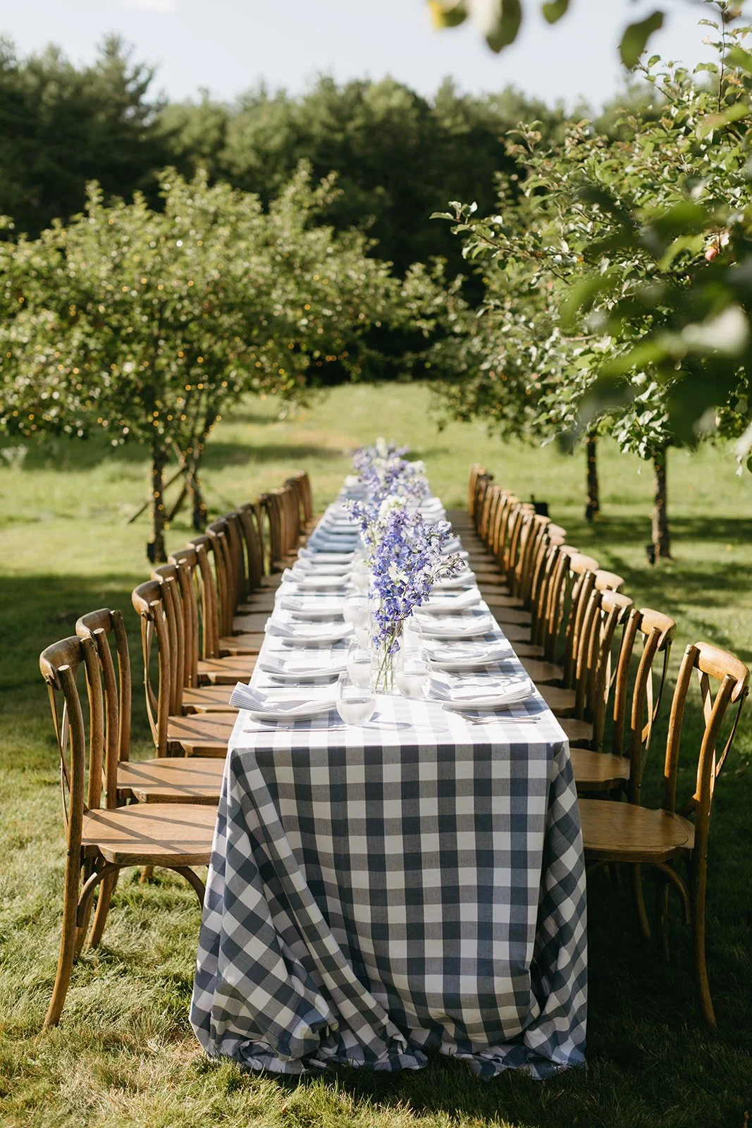 An outdoor dining table set for a meal in a garden or orchard with trees on both sides, decorated with a black and white checkered tablecloth, white napkins, white plates, and vases with purple flowers.