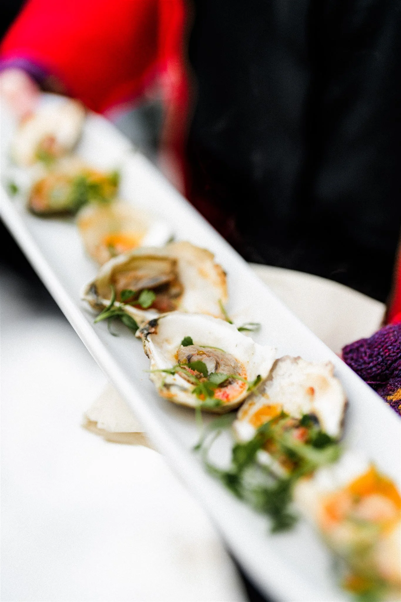 Close-up of a white rectangular plate with scallops garnished with herbs, and small colorful shrimp, with blurred summer or outdoor setting.