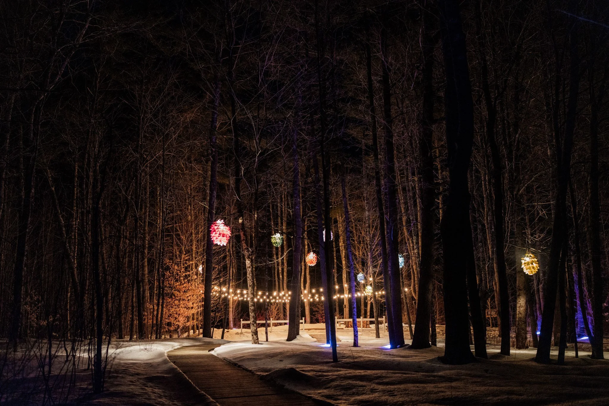Snow-covered forest at night with colorful hanging lanterns and string lights along a wooden pathway.