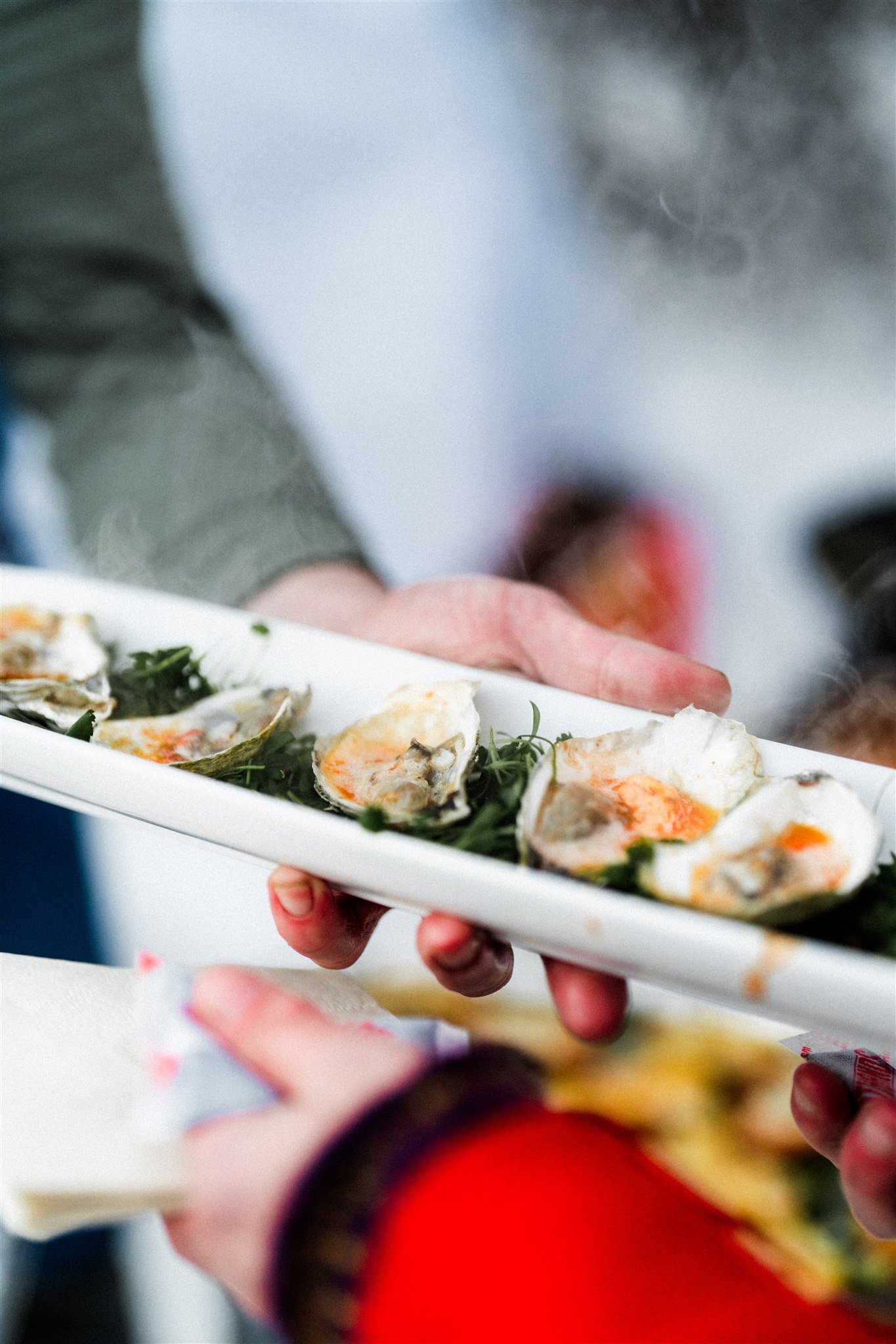 Person holding a white rectangular plate with oysters garnished with greens.